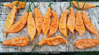 Orange Ribbon - Pepper Seeds - White Hot Peppers